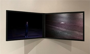 Florencia Levy - From the series Fossil Place, “Black tide”