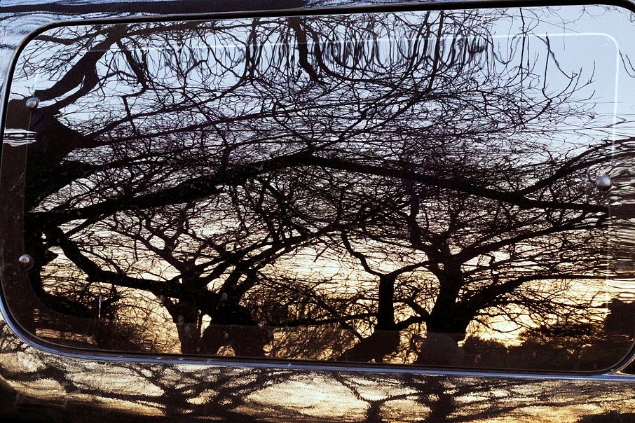 Florencia Levy
From the series Fossil Place, “There is a place where you can go to see the trees that remains”, 2018
color photography printed on Rag paper, 31 x 24 in.