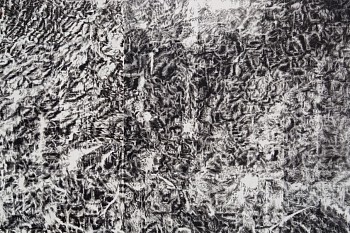 Cynthia Lin - DrwPrntNegDrwgCrop3DSnosemouth - Detail