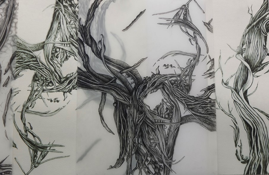 Cristina de Gennaro
Sage Drawing I, Detail, 2013
charcoal on mylar and archival ink jet print on rag paper, 16 x 72 in.