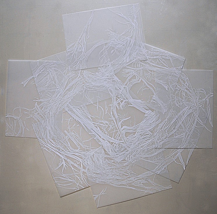 Cristina de Gennaro
Sage Drawing V, 2014
acrylic ink on mylar, 43 x 41 in.