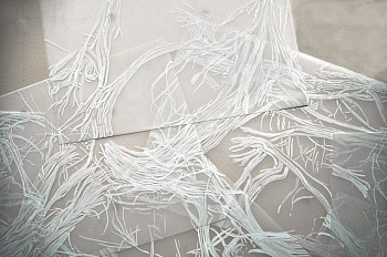 Cristina de Gennaro - Sage Drawing V, Detail
