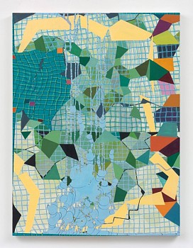 Lisa Corinne Davis -&nbsp;Captious Computation