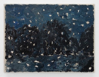 Luca Nejedly -&nbsp;Snow