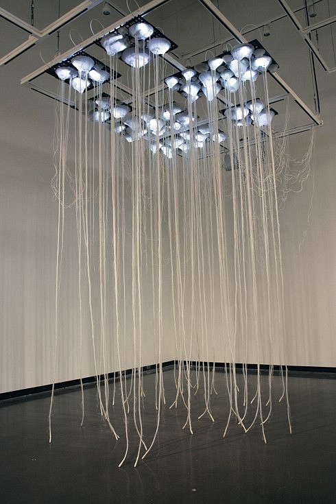 Alison Hiltner
Survival Tactics, 2015
silicone, resin, nylon, latex, vibration motors, microcontrollers, LED array and motor relays, 144 x 144 x 96 inches  Survival Tactics is an interactive installation exploring how discoveries in plant communication further our growing understanding of conscious behavior in flora, specifically by how the root systems of plants can "talk" to each other through high frequency acoustic vibrations when under stress.