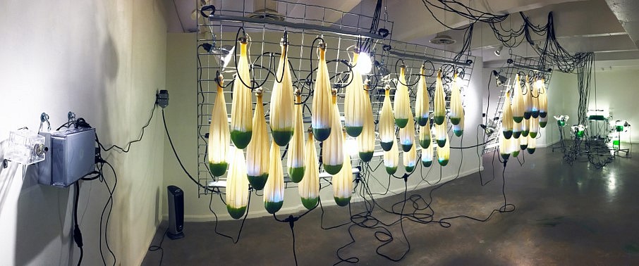Alison Hiltner
It Was Tomorrow, 2015
39 latex balloons filled with cyanobacteria (spirulina), sensor, pumps, relays, various hardware, steel and stainless steel, workstation with tanks, 312 x 444 x 120 in.