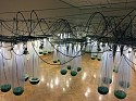 Alison Hiltner, It Is Yesterday
2017, 52 plastic polymer vessels filled with cyanobacteria (spirulina), sensor, pumps, relays, various hardware, steel and stainless steel, video projection, workstation with tanks