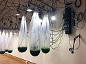 Alison Hiltner, It Is Yesterday (detail)
2017, 52 plastic polymer vessels filled with cyanobacteria (spirulina), sensor, pumps, relays, various hardware, steel and stainless steel, video projection, workstation with tanks