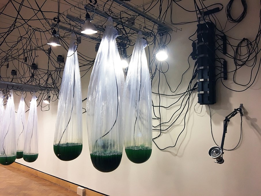 Alison Hiltner
It Is Yesterday (detail), 2017
52 plastic polymer vessels filled with cyanobacteria (spirulina), sensor, pumps, relays, various hardware, steel and stainless steel, video projection, workstation with tanks, 24 x 100 x 20 feet
By breathing into the sensor, visitors create an exchange with the cyanobacteria, their carbon dioxide for the cyanobacteria's release of more oxygen in the form of more bubbling as an excited utterance. The aggregate CO2 data that is collected acts as a baseline for the aeration pumps allowing the sacks to "inhale" and "exhale", when the audience is not controlling the sacks with their breath.