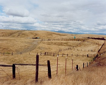 Sharon Lockhart - Cattle Ranch, Tulare County, California