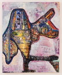 Steve DiBenedetto Biography