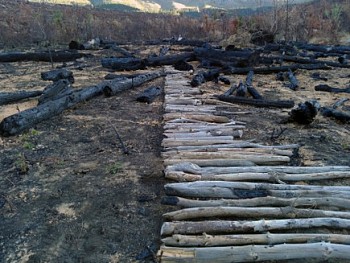 Strijdom van der Merwe -&nbsp;Arranging a line. Jonkershoek, Stellenbosch