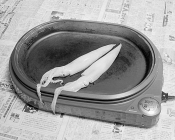 Fumi Ishino - Untitled (Rowing a Tetrapod)