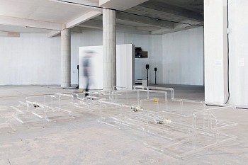 Jes Fan -&nbsp;Network (For Survival, For Dispersal, and For Staying Low to the Ground)