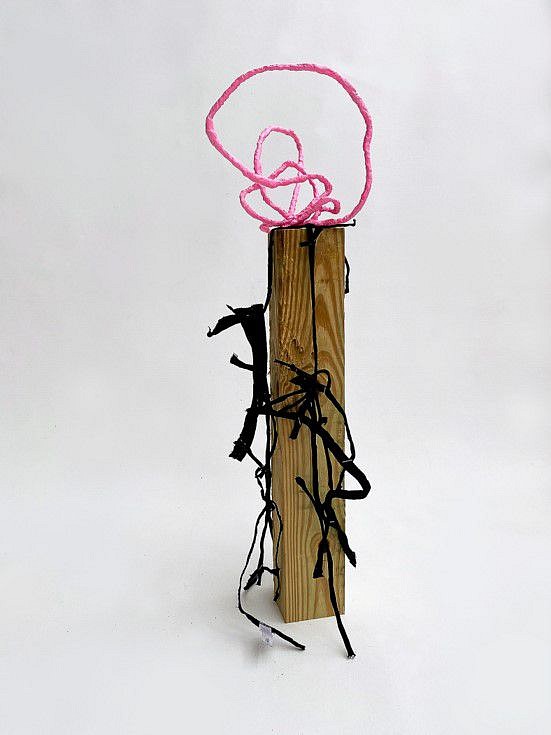 Kathy Wright
Assemblage with Leggings, 2019-2021
4x4 lumber, leggings, school glue, staples, floral wire, plaster, acrylic, 29 x 8 x 8 in.