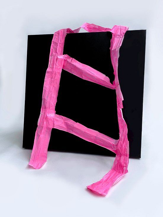 Kathy Wright
Assemblage with Ladder, 2020-2021
two 24x24 inch gallery wrapped canvases, rice paper, school glue, acrylic, 24 x 26 x 30 in.