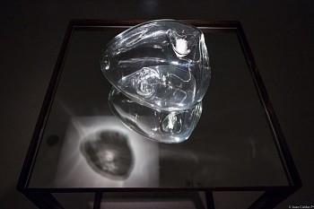 Search: Josely Carvalho, Vessel #18, 2017