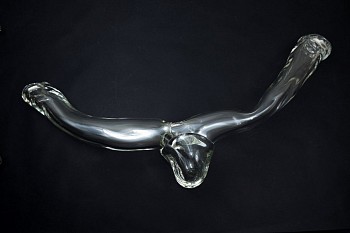 Search: Josely Carvalho, Branch01, 2021