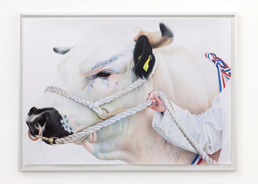 Stuart Middleton
Norton Jingo, 2020
coloured pencil on paper, 23 x 33 in.