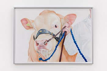 Artist:&nbsp;Stuart Middleton