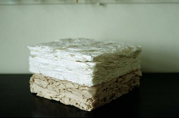 Search: L&Atilde;&Acirc;&shy;via P&Atilde;&Acirc;&nbsp;pai, Paper Cubes