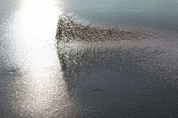 Miroslaw Maszlanka - Illuminations