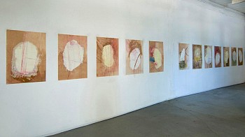 Nicola Ginzel - How Do You Restructure Form?  Installation View of Espresso Stained Shoji Rice Paper Subseries