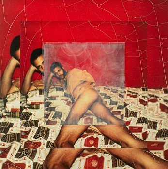 Artist:&nbsp;Alanna Fields