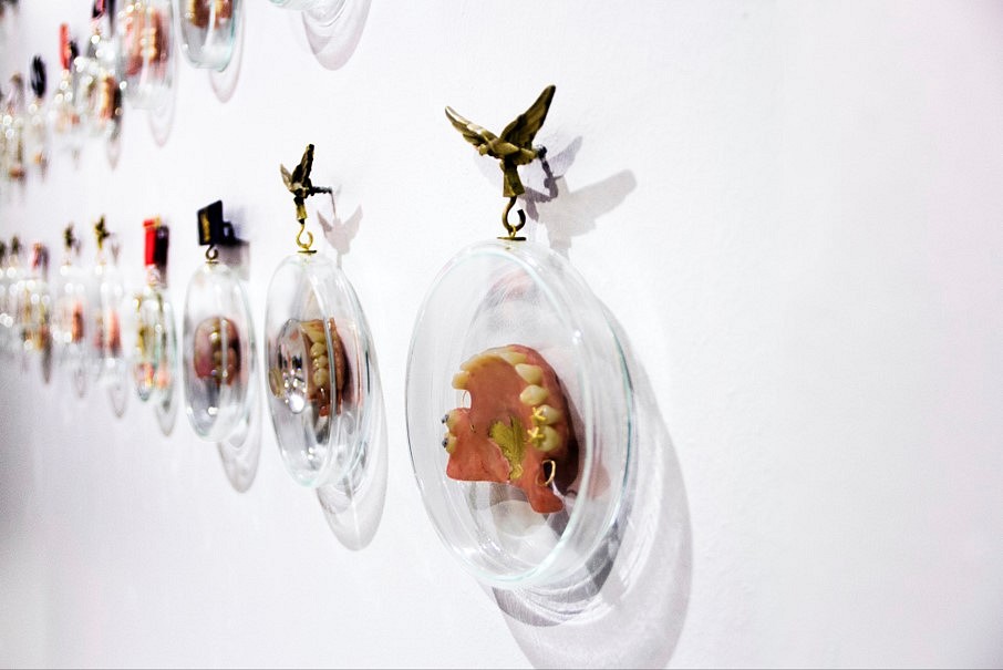 Claudio Correa
Bling-Bling, 2017
approximately 60 modules of glass, metal, resin, and dental prothesis, 79 x 196 in.