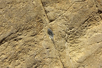 Mariko Hori - Mellowing the Corners (at Stade Steps)