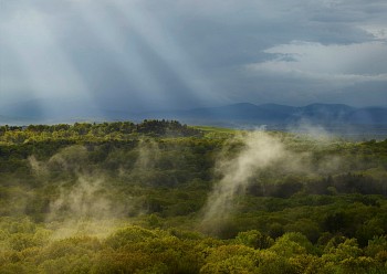 Andrew Moore -&nbsp;Rain Sprites