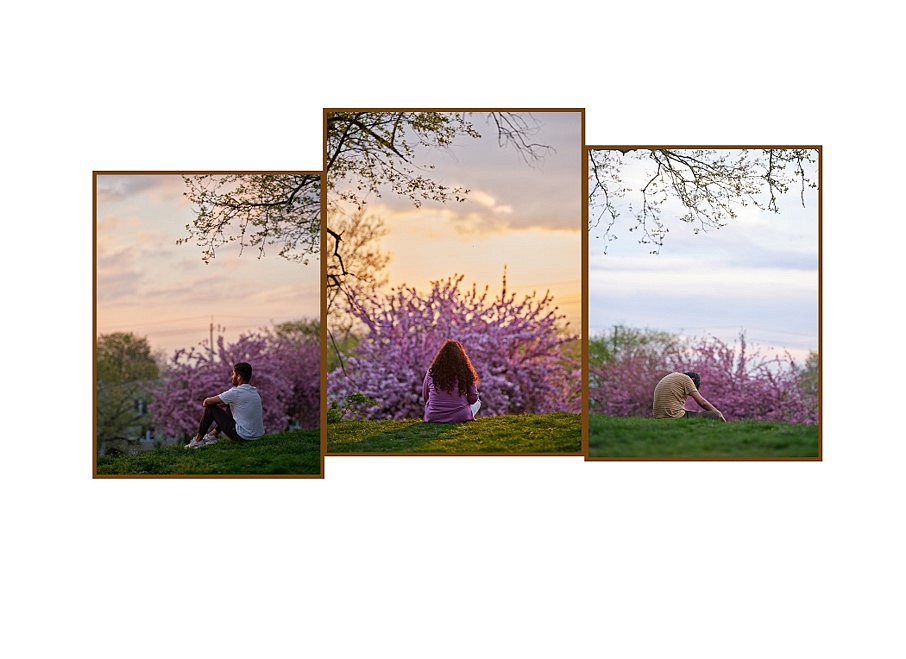 Paul Graham
Cherry Tree, New Jersey, 2022
photograph, Single work in 3 panels, 36 x 60 inches (from Verdigris)
