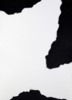 Shatrudhan Kumar Gupta - From the series ""Fall in Love at the First Sight""