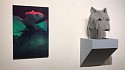 Sue de Beer, Come Wind Come Weather; The Tarble Art Center, Eastern Illinois University (installation view)
2019
