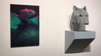 Sue de Beer -&nbsp;Come Wind Come Weather; The Tarble Art Center, Eastern Illinois University (installation view)