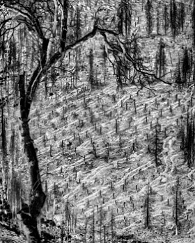 Artist:&nbsp;Matt Black