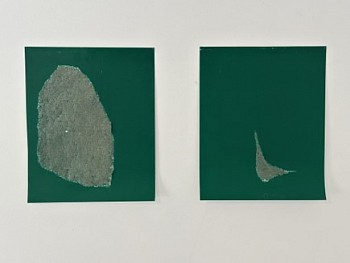 Allyson Strafella -&nbsp;lungs II