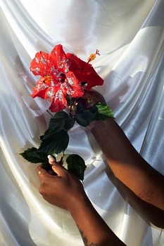 Widline Cadet -&nbsp;Swete (Wish)